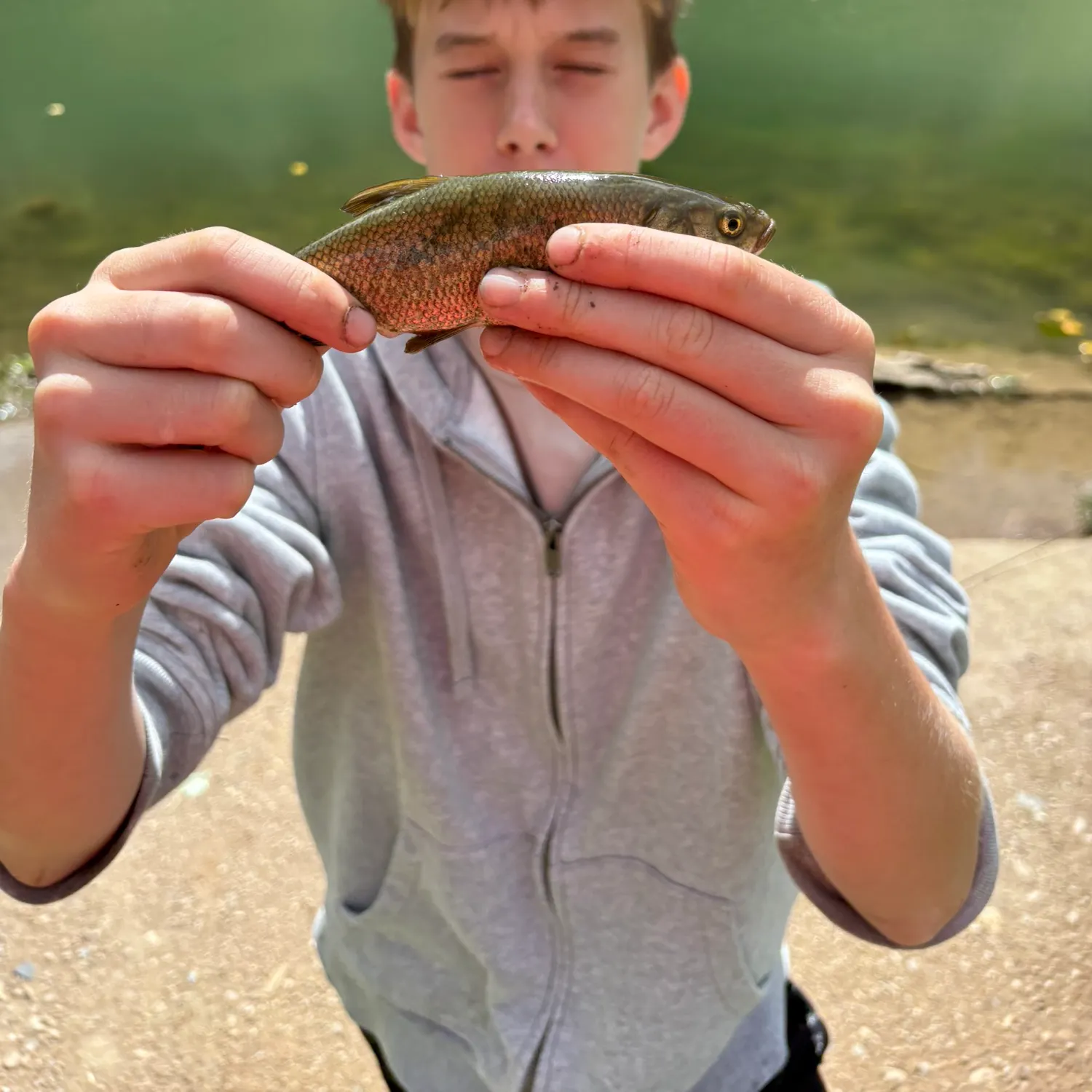 Utah chub caught on Fishbrain