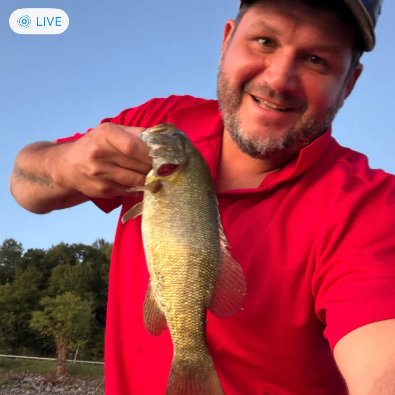 Smallmouth bass caught on Fishbrain
