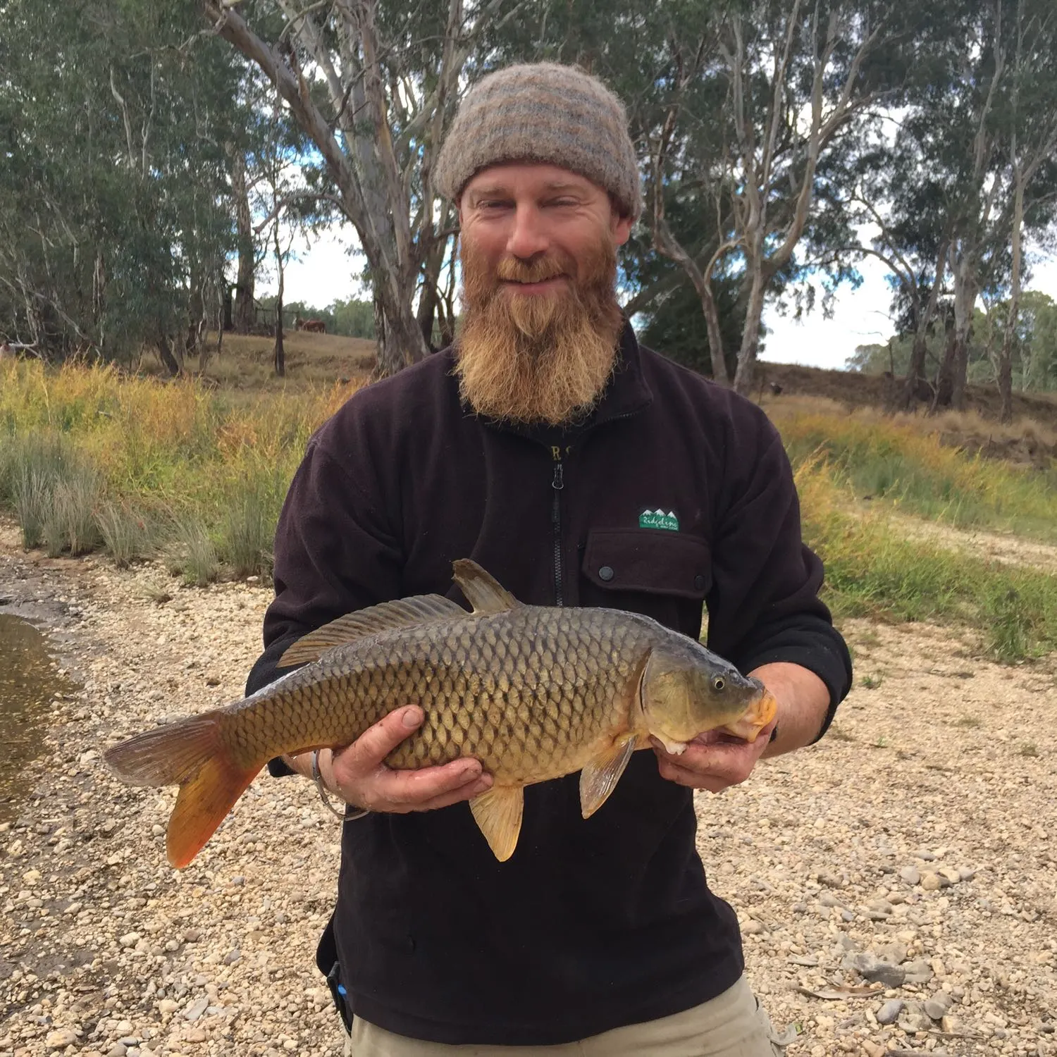 Post image from jasonstaples