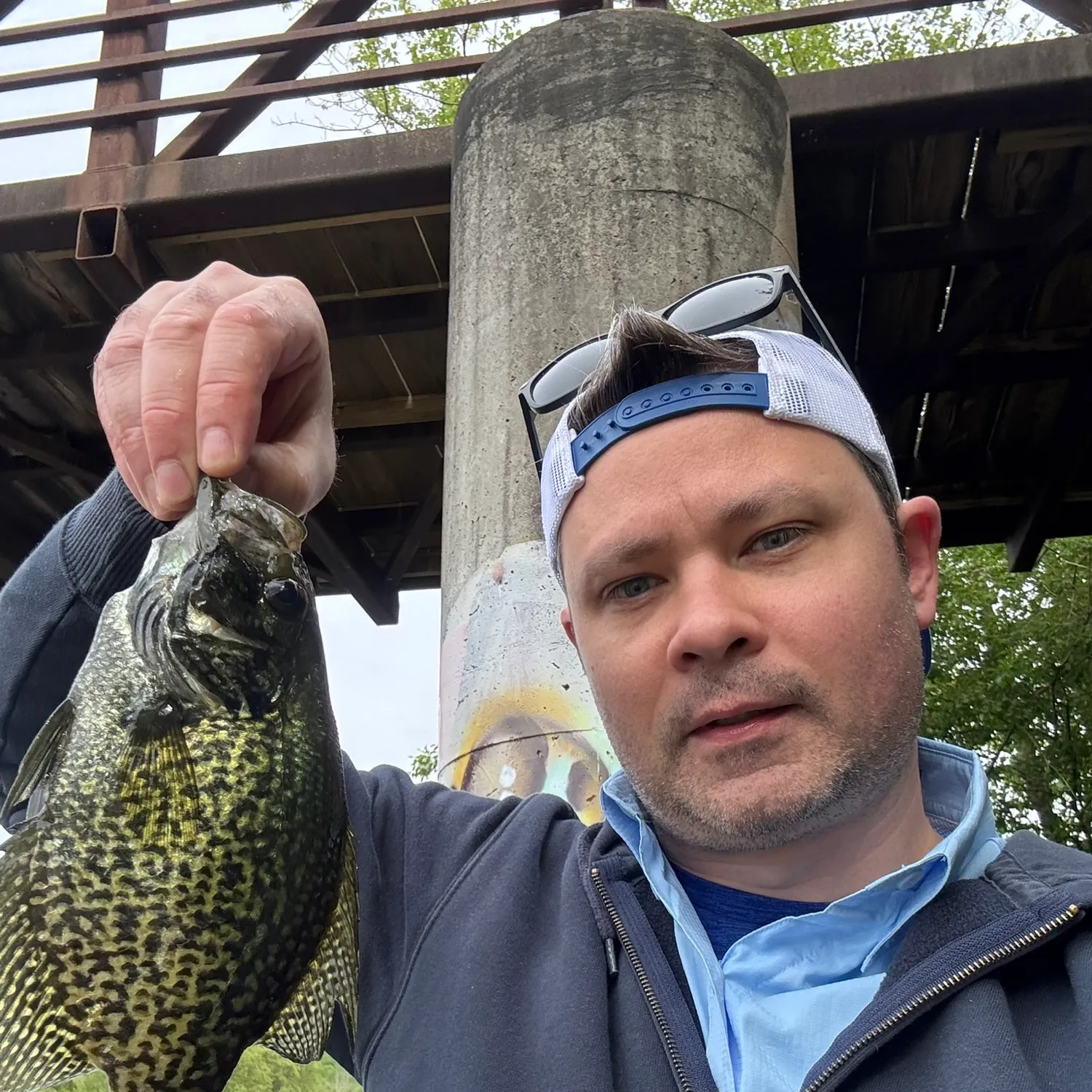 The most recent Black crappie catches on Fishbrain