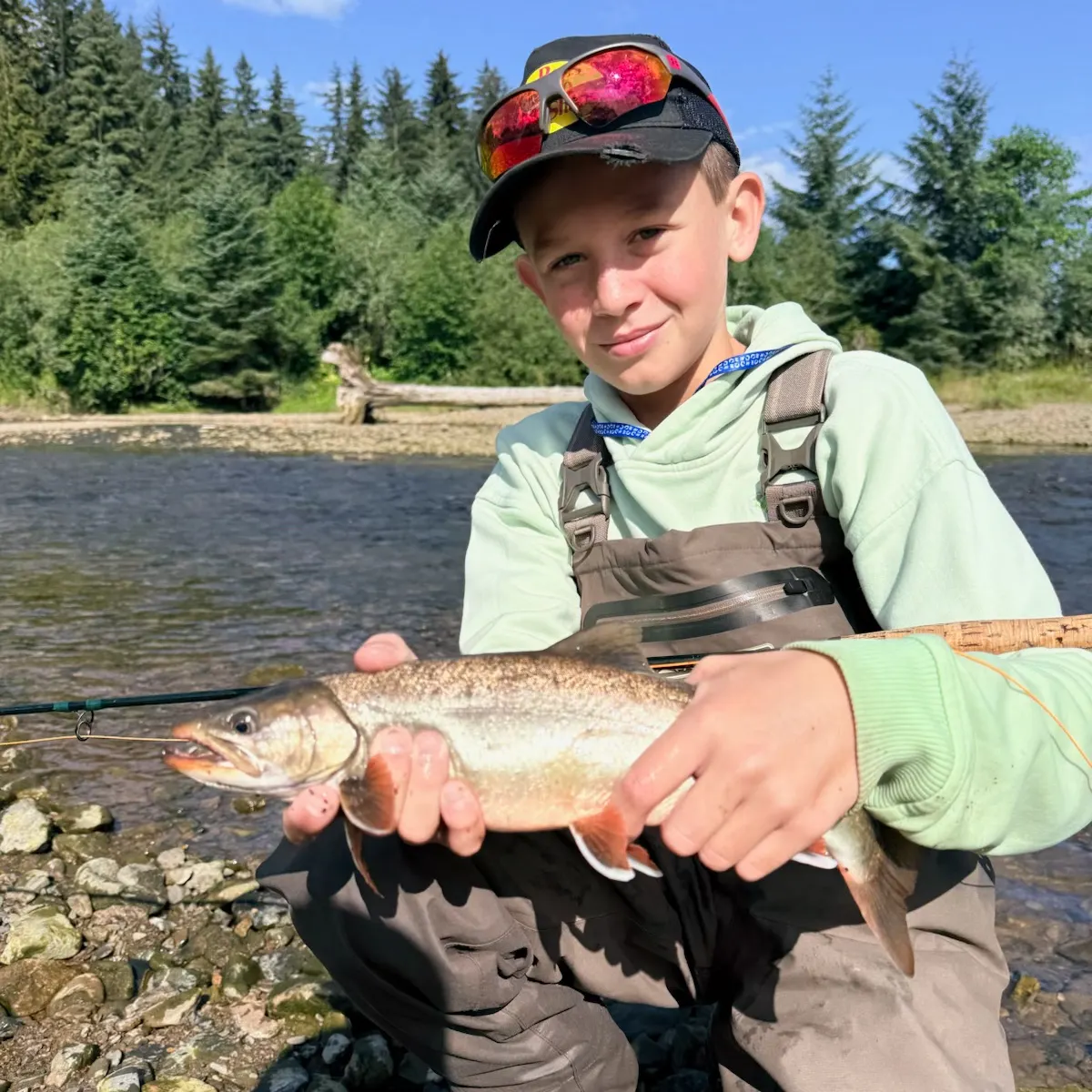 The most recent Dolly varden catches on Fishbrain