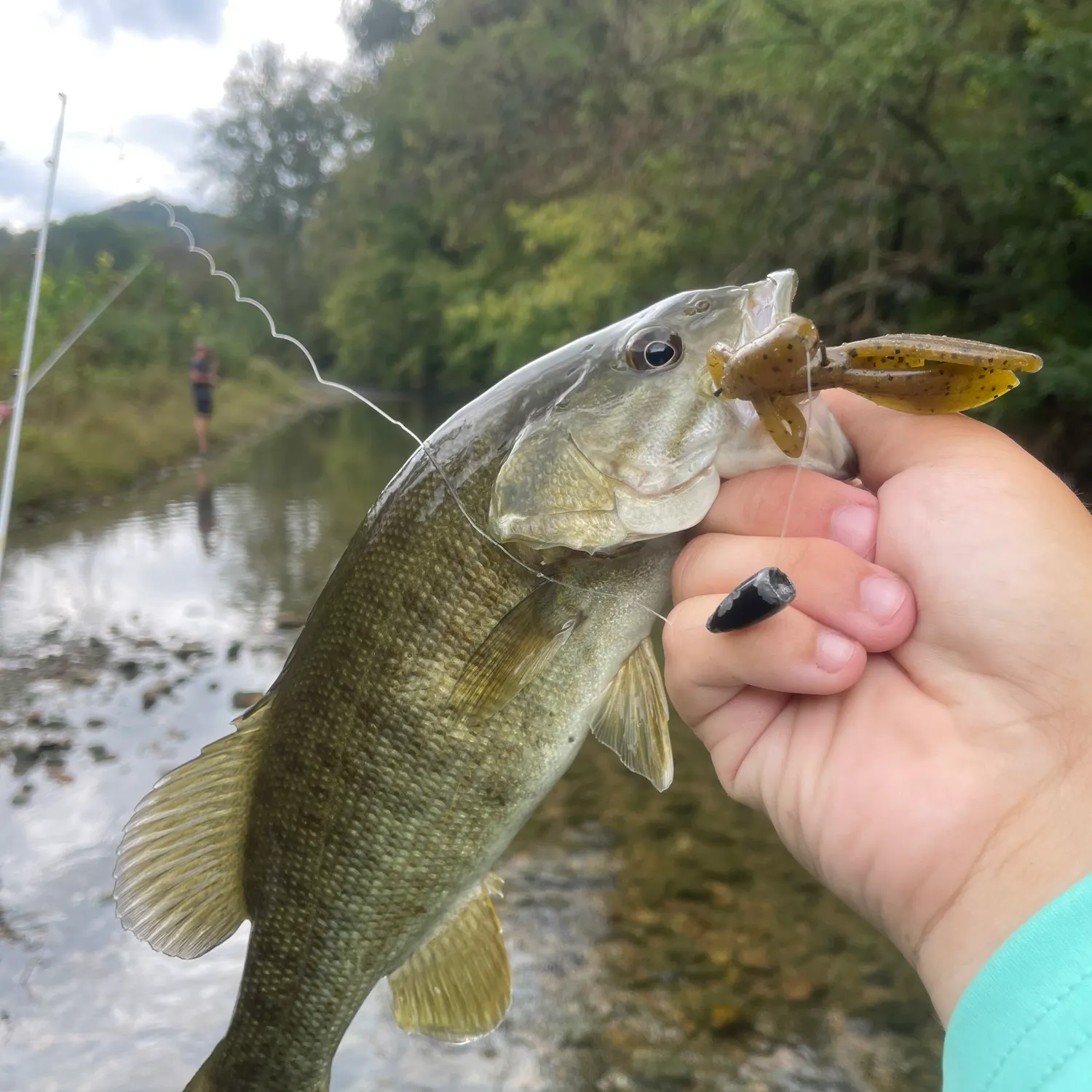 Smallmouth bass caught on Fishbrain