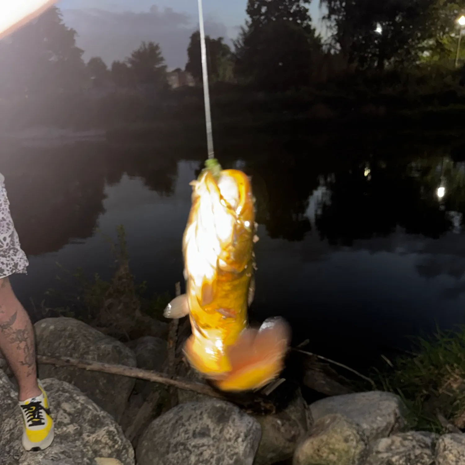 catch
