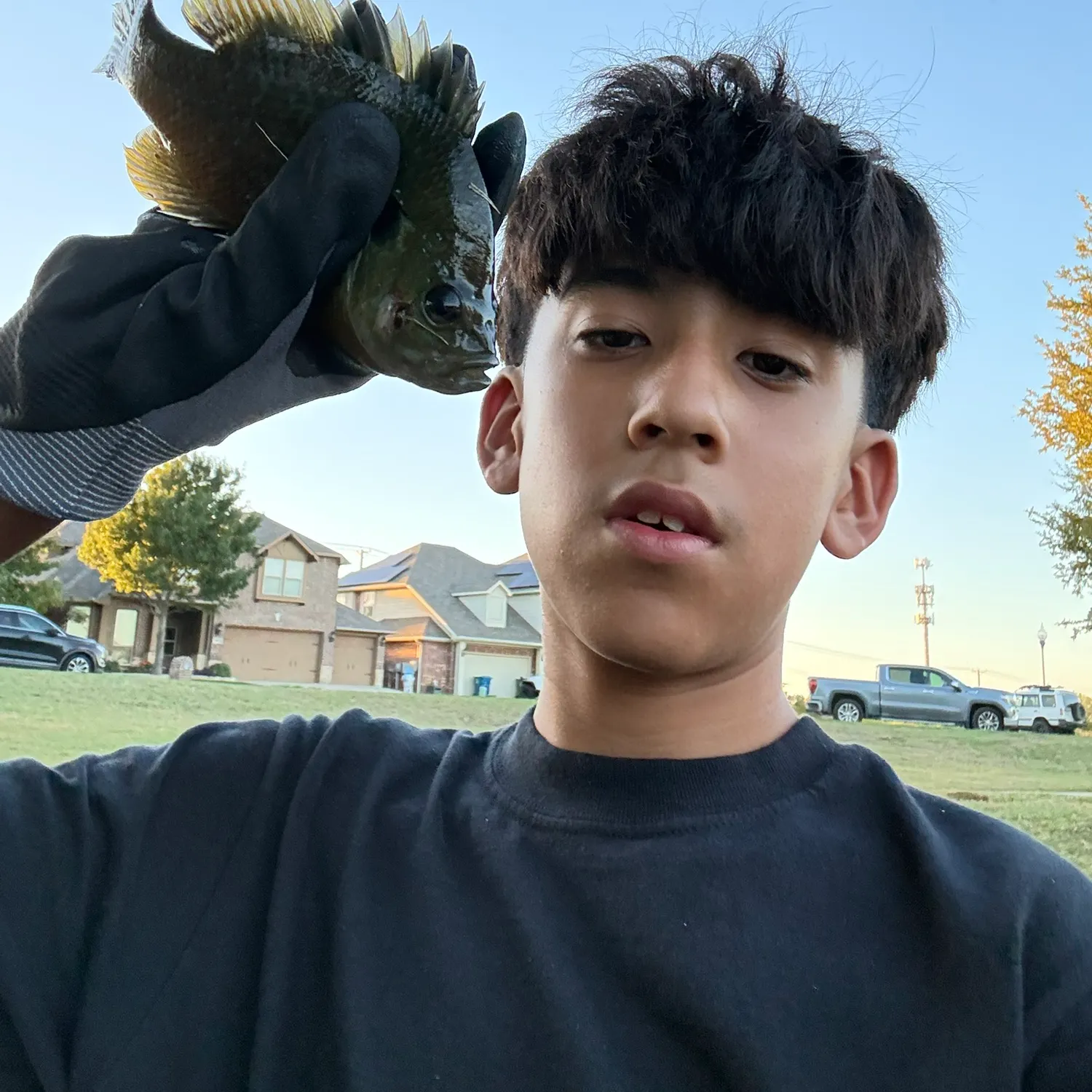 Greengill hybrid caught on Fishbrain