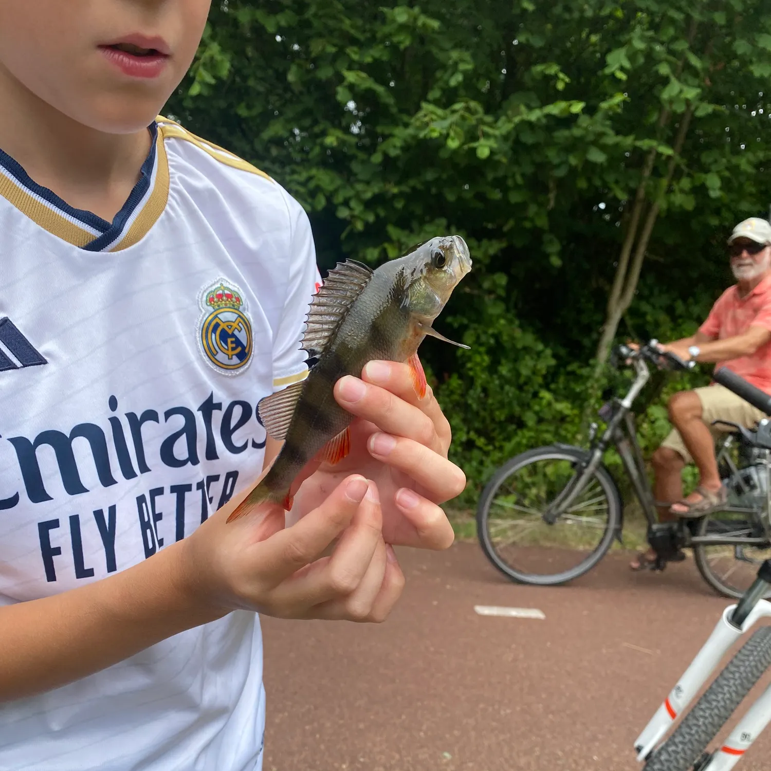 European perch caught on Fishbrain