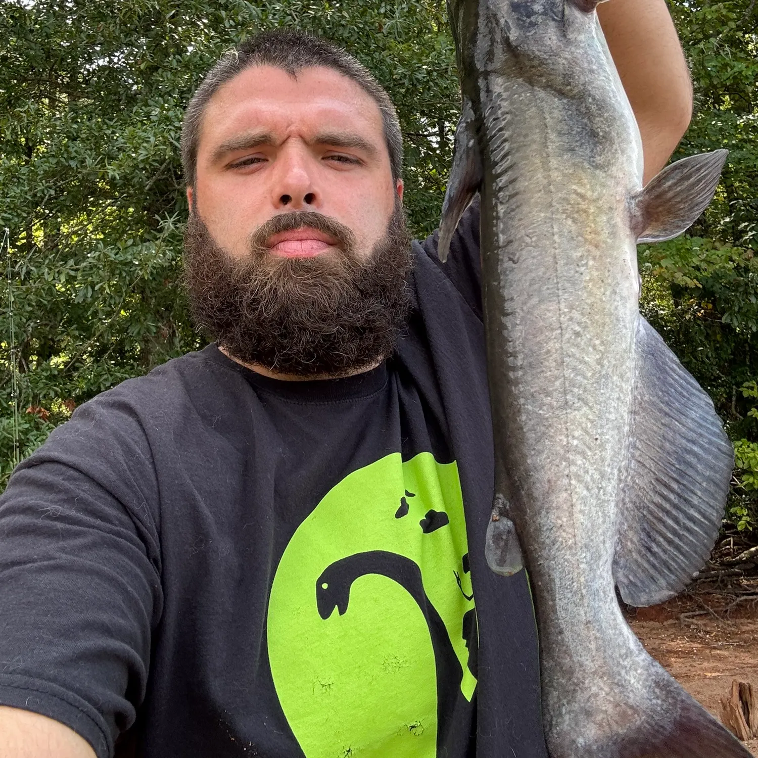 Channel catfish caught on Fishbrain
