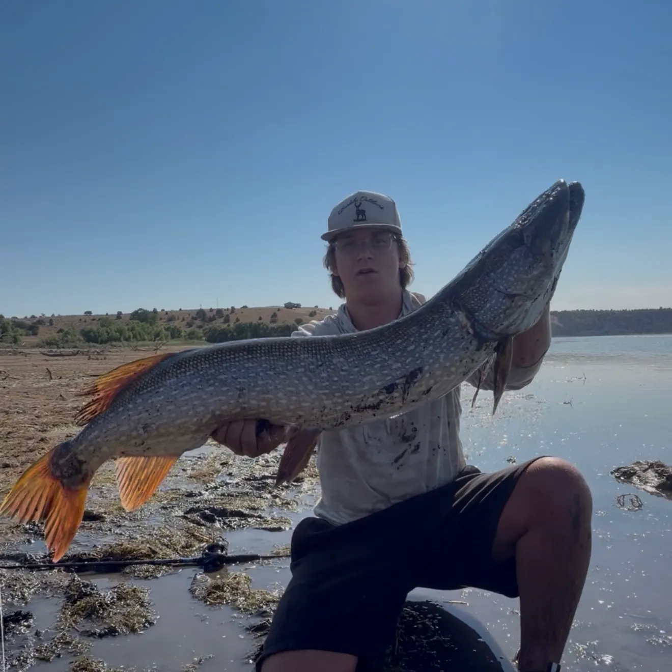 Northern pike caught on Fishbrain