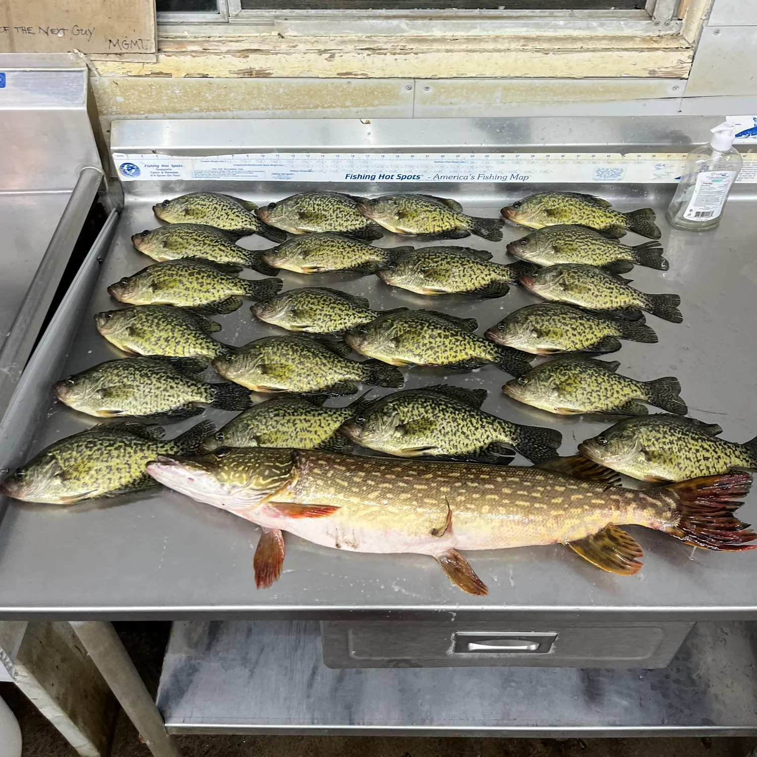 recently logged catches