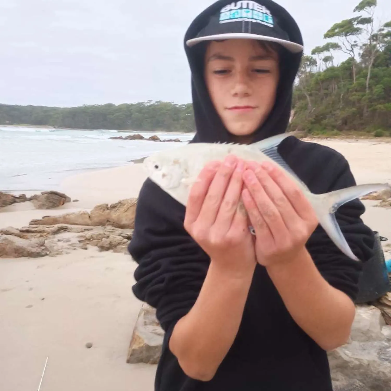 The most popular recent Largespotted dart catch on Fishbrain