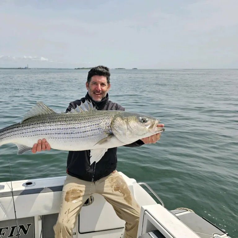 angler catch