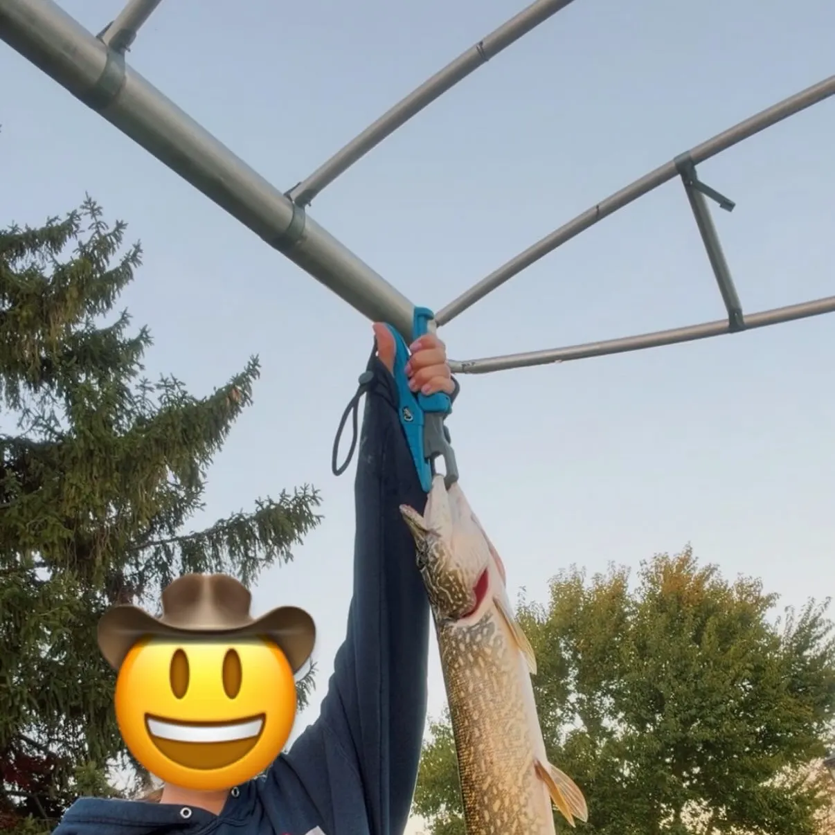 Northern pike caught on Fishbrain