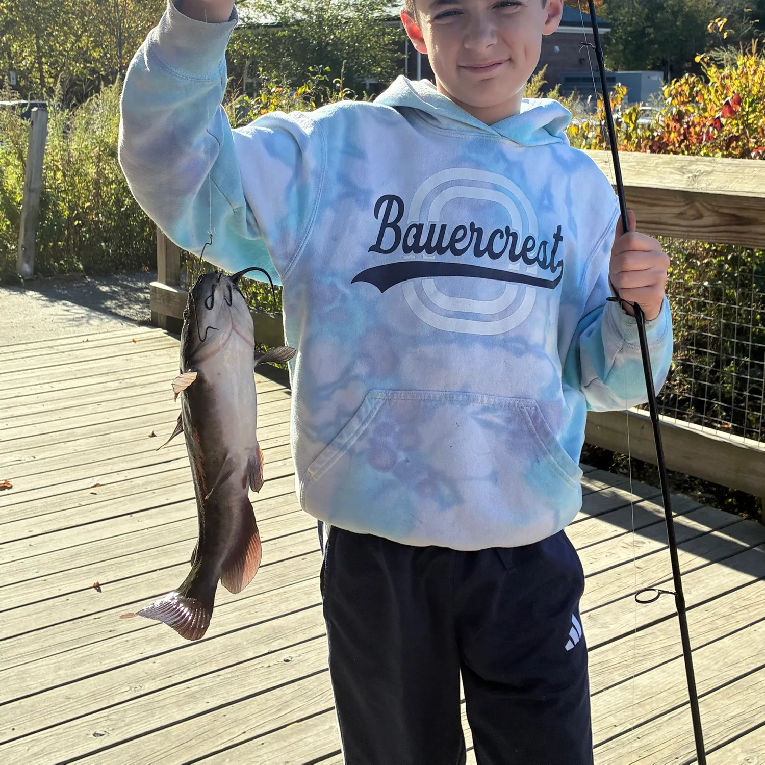 Channel catfish caught on Fishbrain