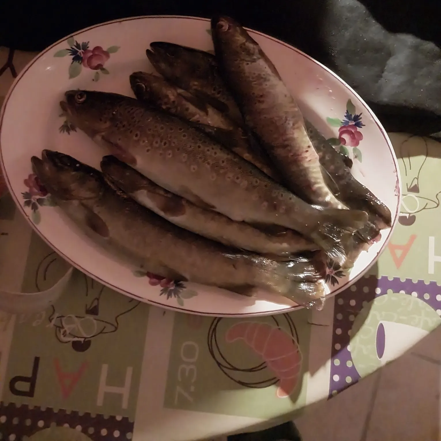 recently logged catches