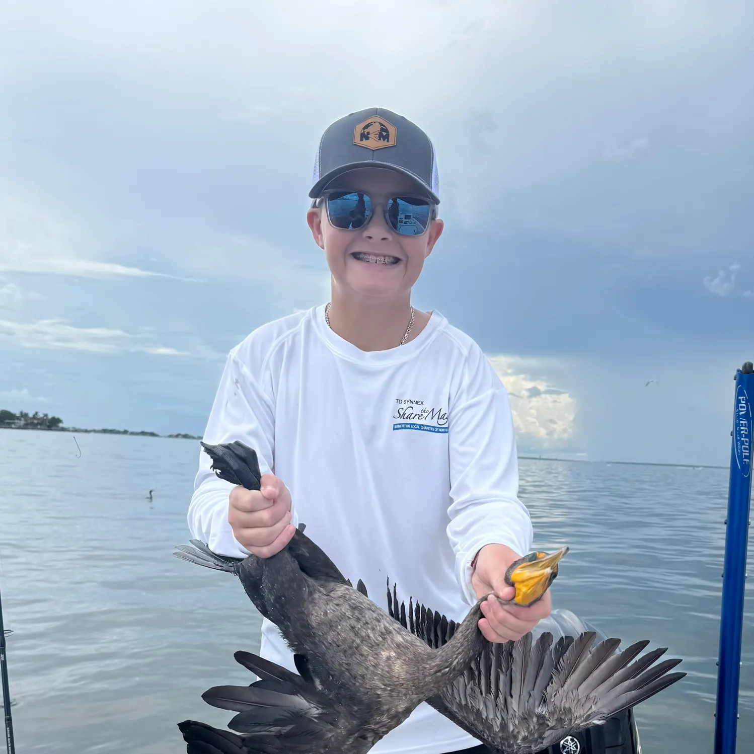 The most recent Bull ray catches on Fishbrain