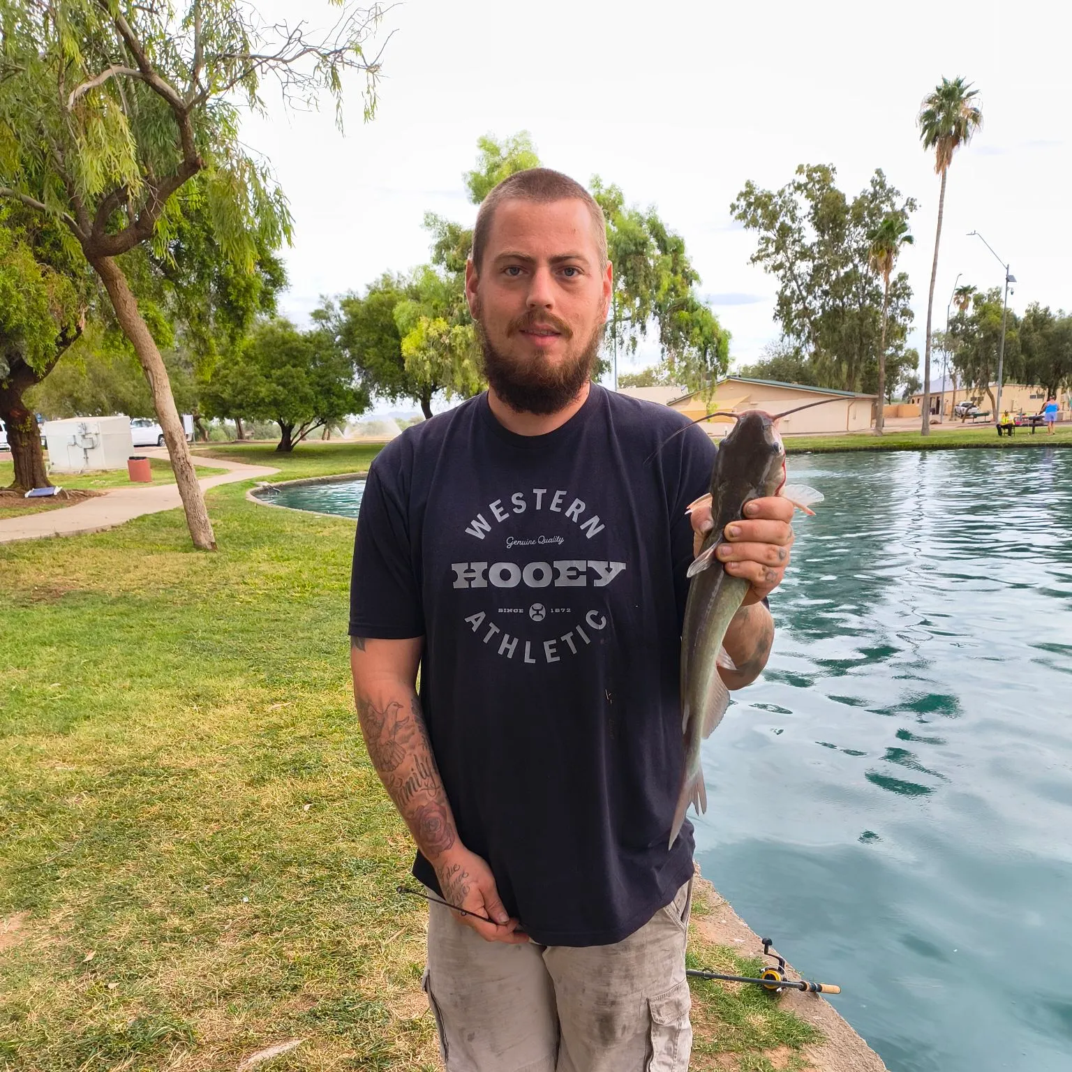 Channel catfish caught on Fishbrain