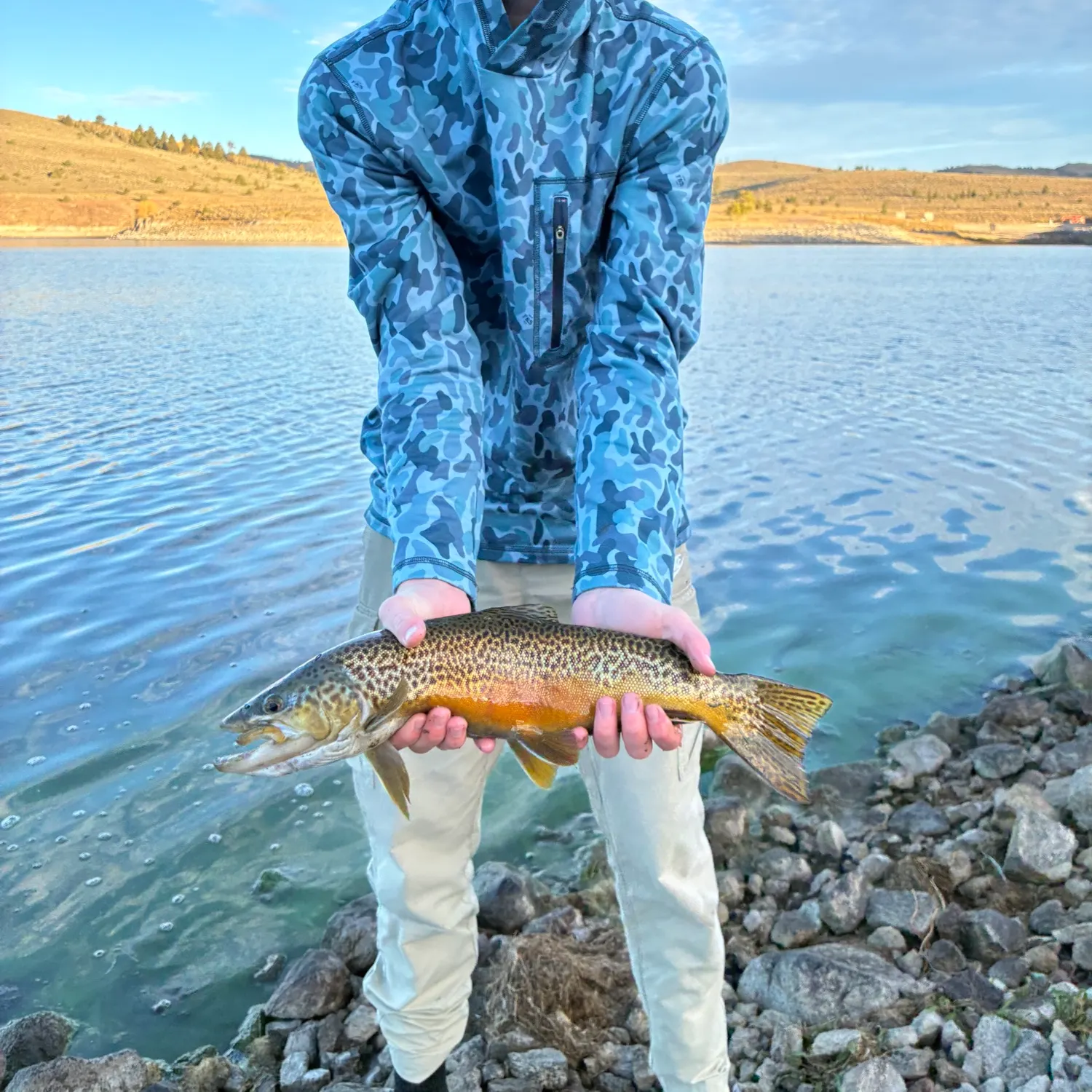 Tiger trout caught on Fishbrain