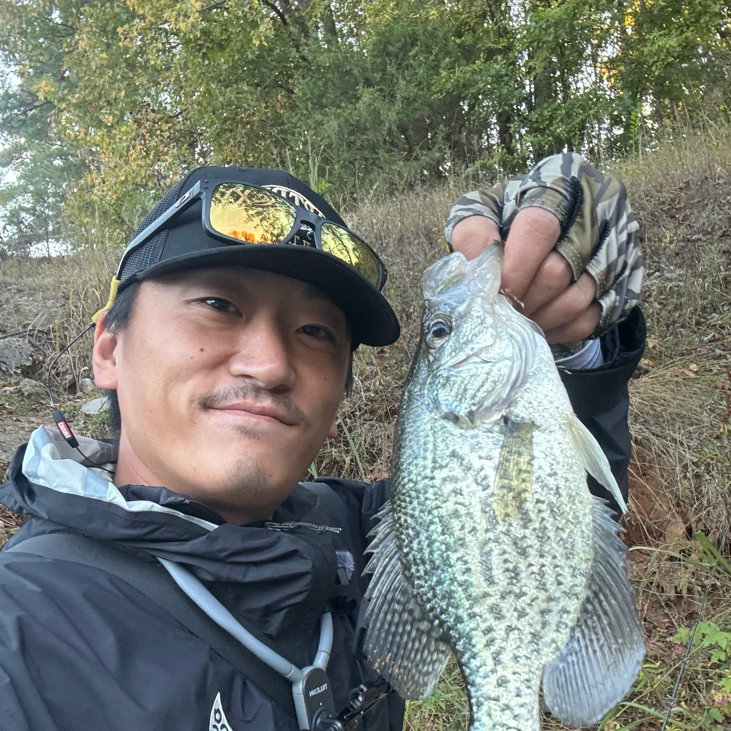 Black crappie caught on Fishbrain