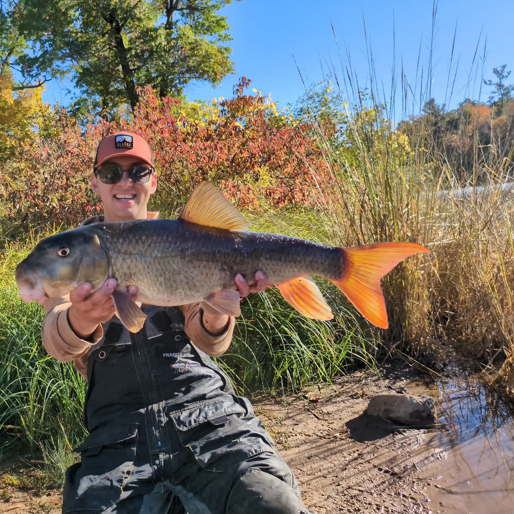 The most recent River redhorse catches on Fishbrain