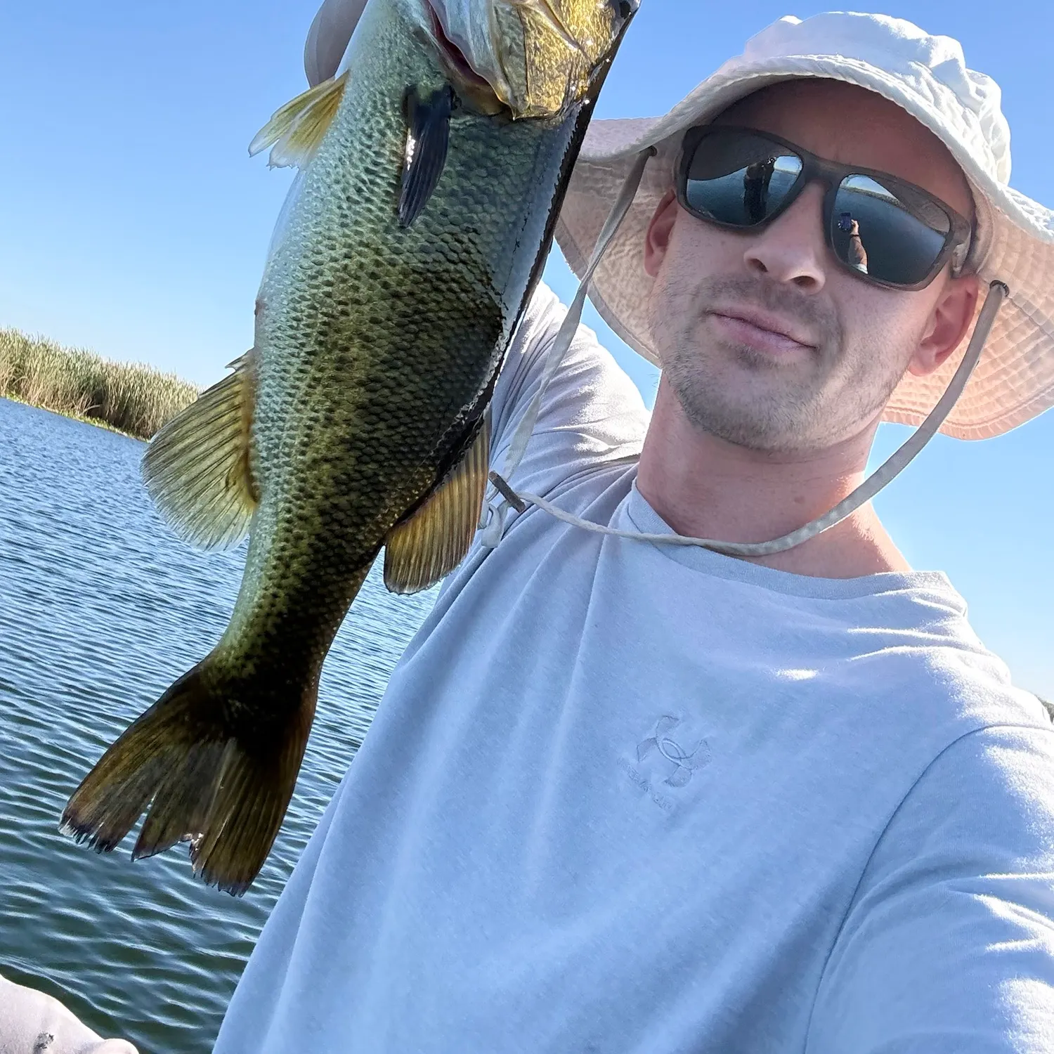 Largemouth bass caught on Fishbrain