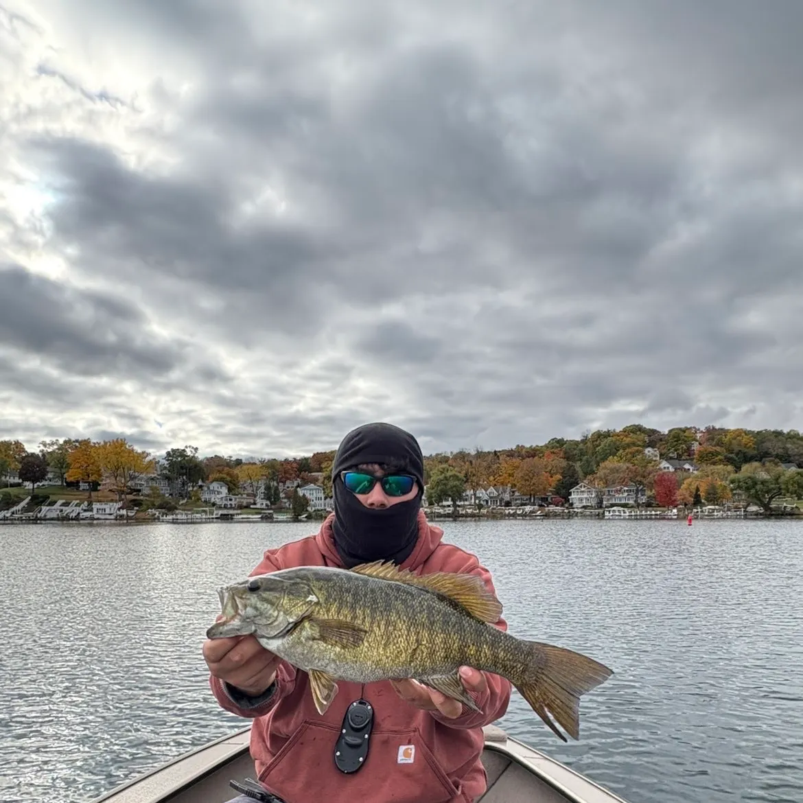 The most recent Smallmouth bass catches on Fishbrain