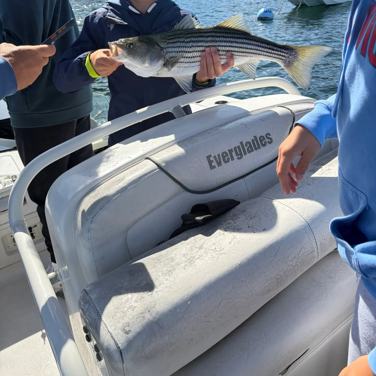 Striped bass caught on Fishbrain