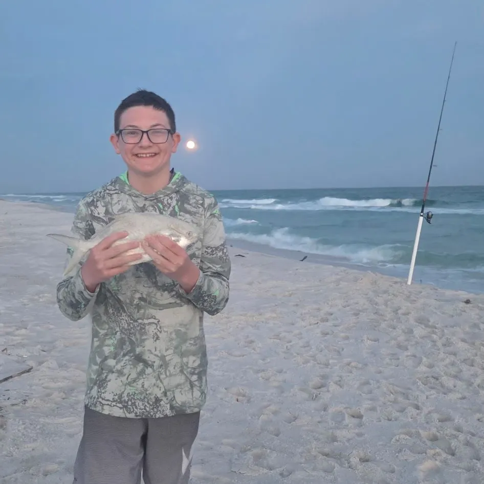The most recent Florida pompano catches on Fishbrain