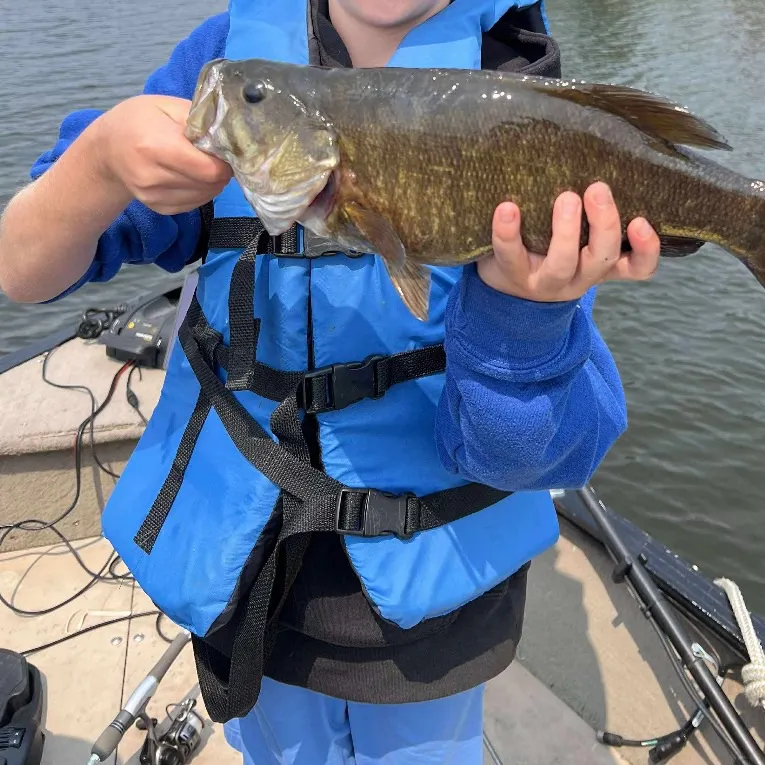 Smallmouth bass caught on Fishbrain