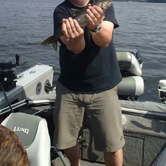 angler catch