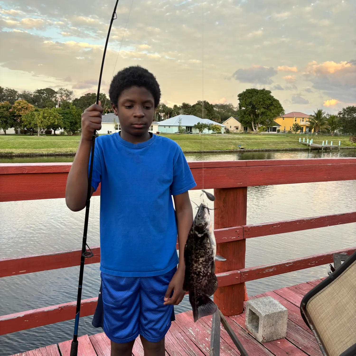 The most recent Brown bullhead catches on Fishbrain