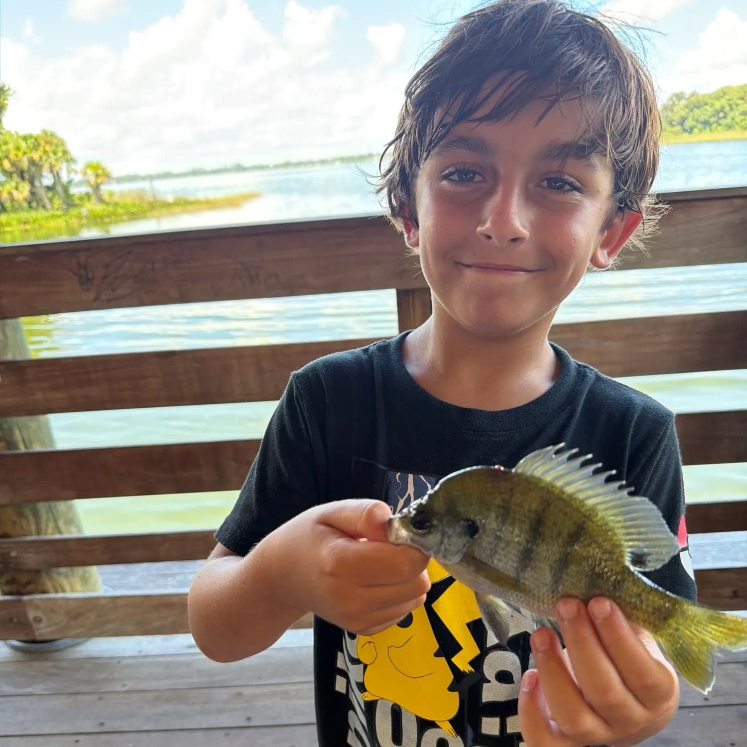 Bluegill caught on Fishbrain