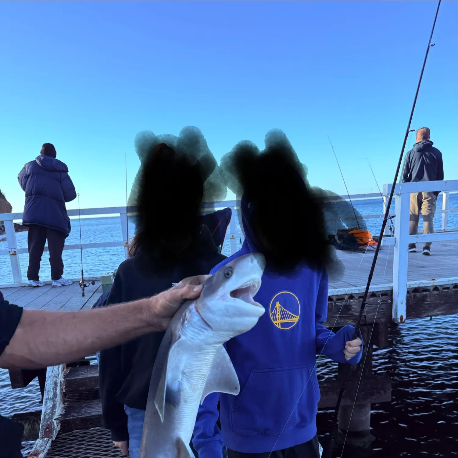 The most recent Sharpnose sevengill shark catches on Fishbrain