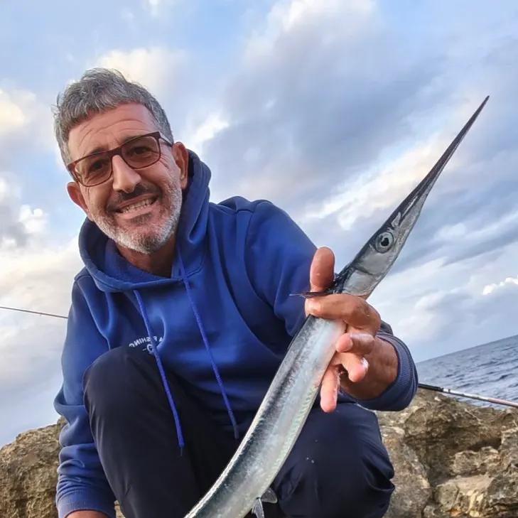 The most recent Flat needlefish catches on Fishbrain