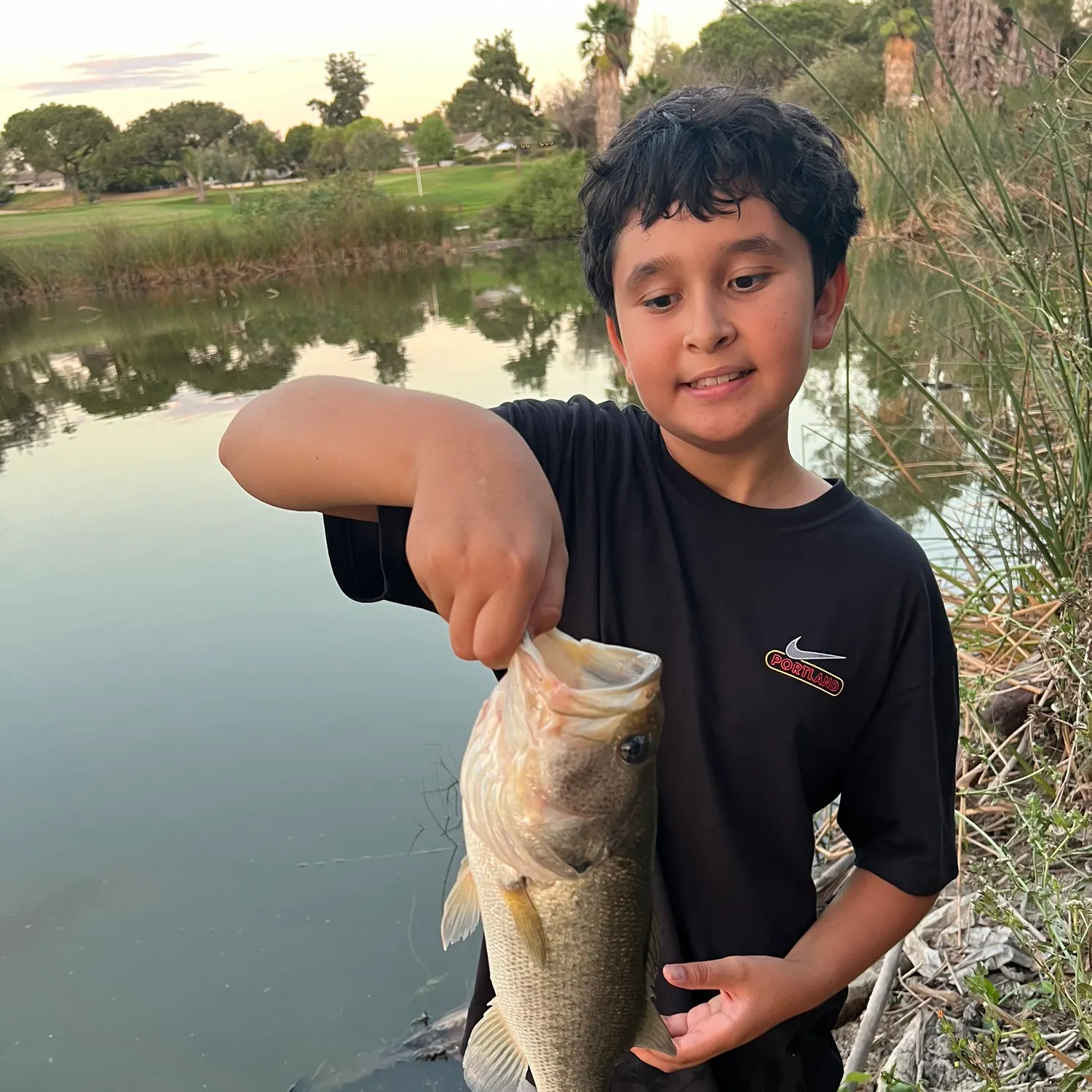 Largemouth bass caught on Fishbrain