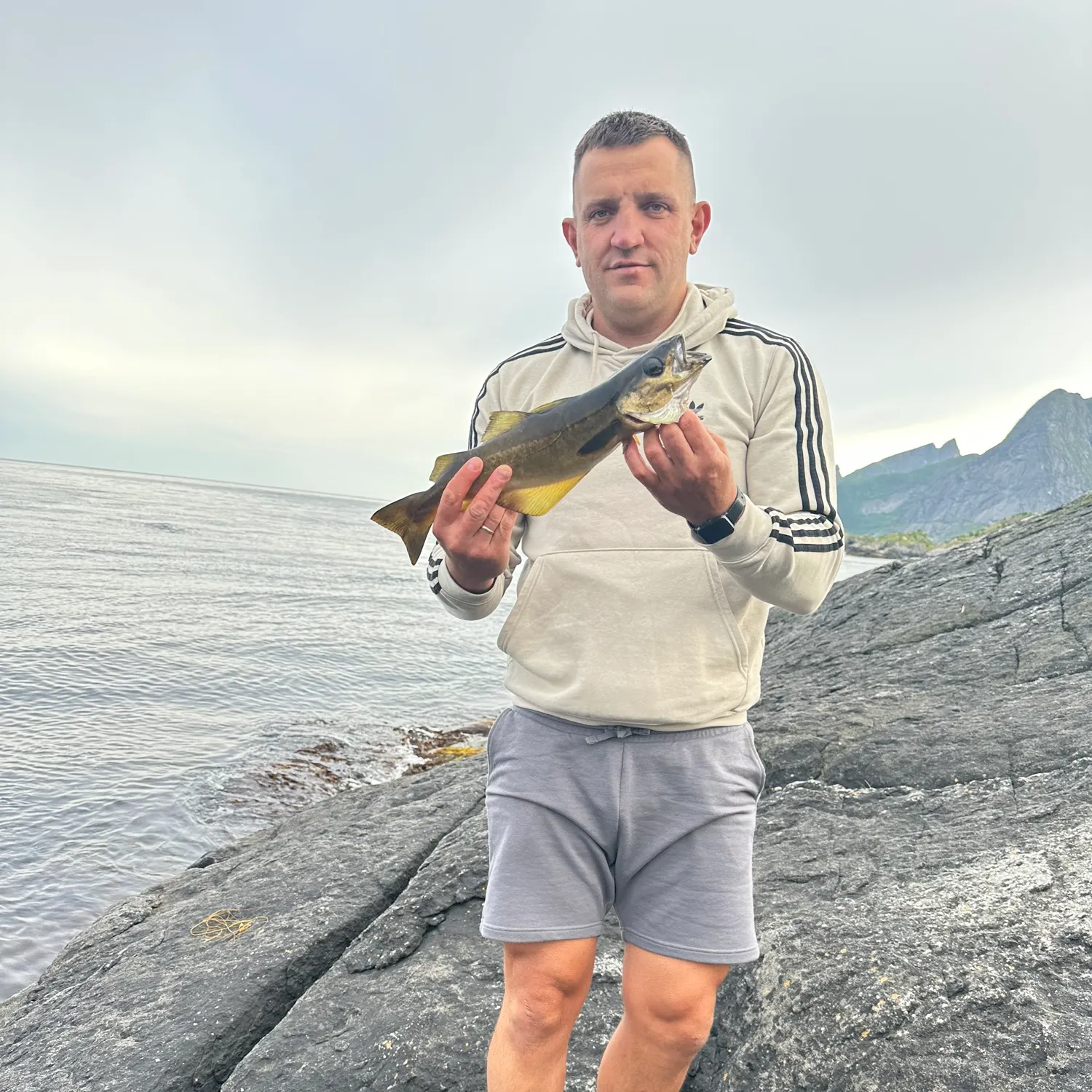 The most recent Atlantic cod catches on Fishbrain