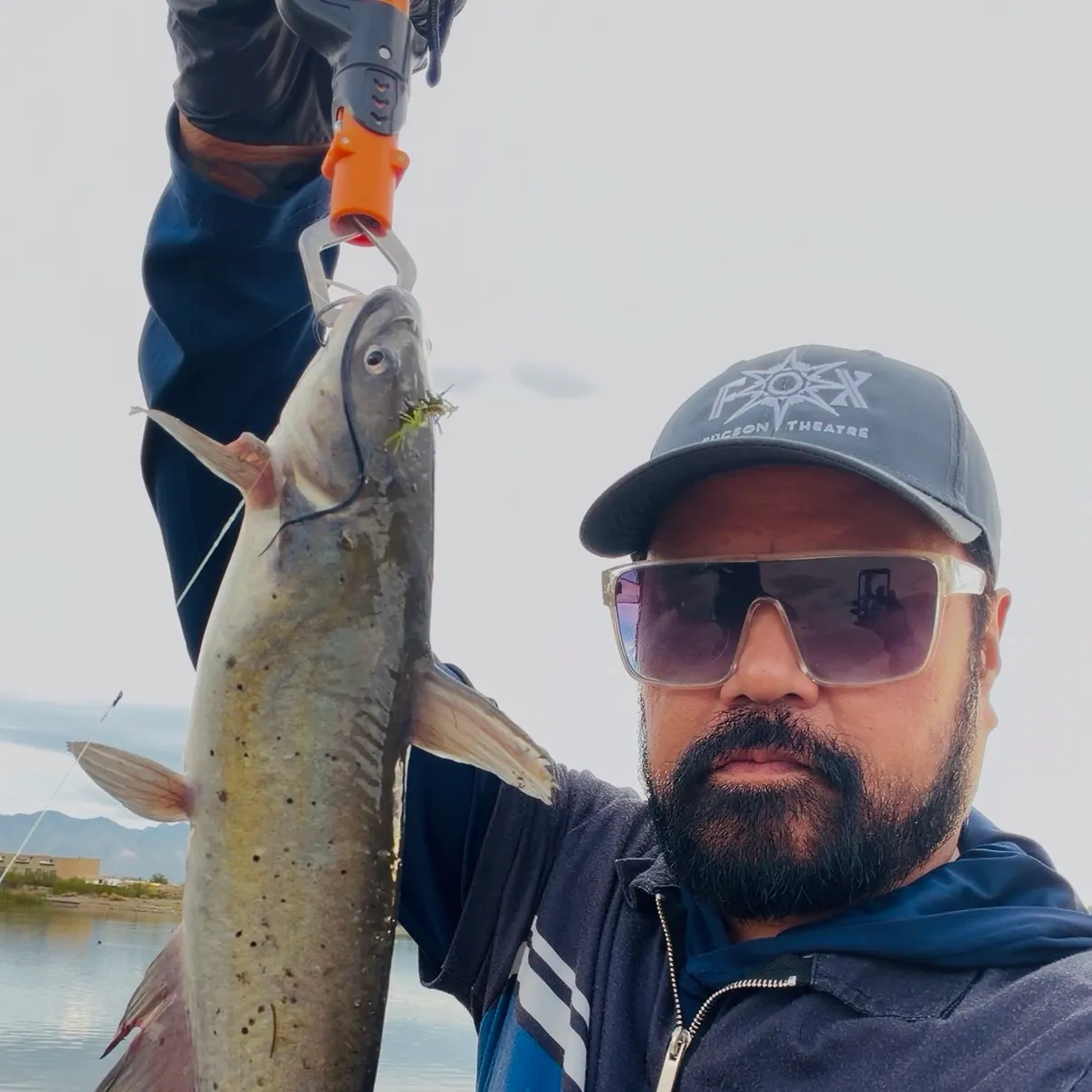 Channel catfish caught on Fishbrain
