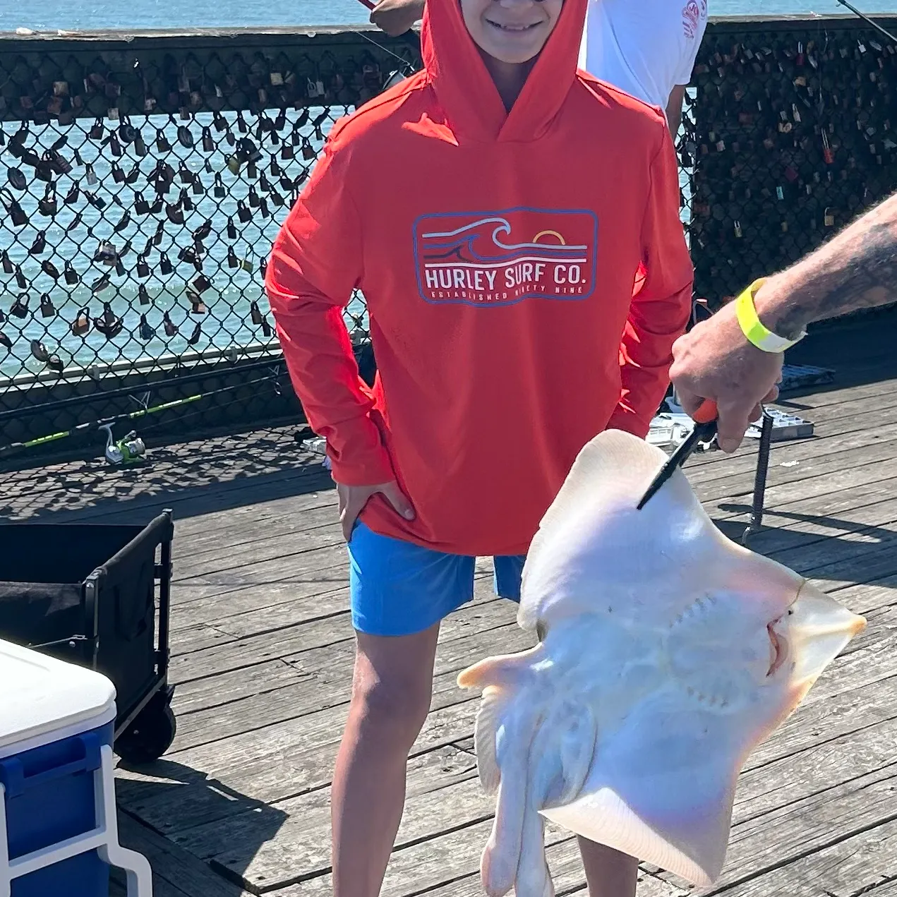 The most recent Little Skate catches on Fishbrain