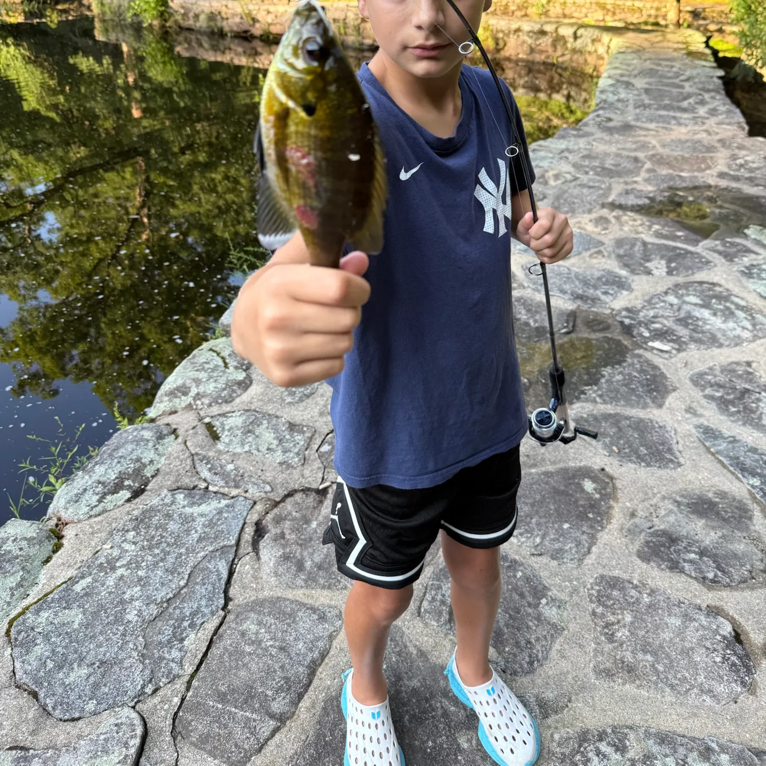 Bluegill caught on Fishbrain