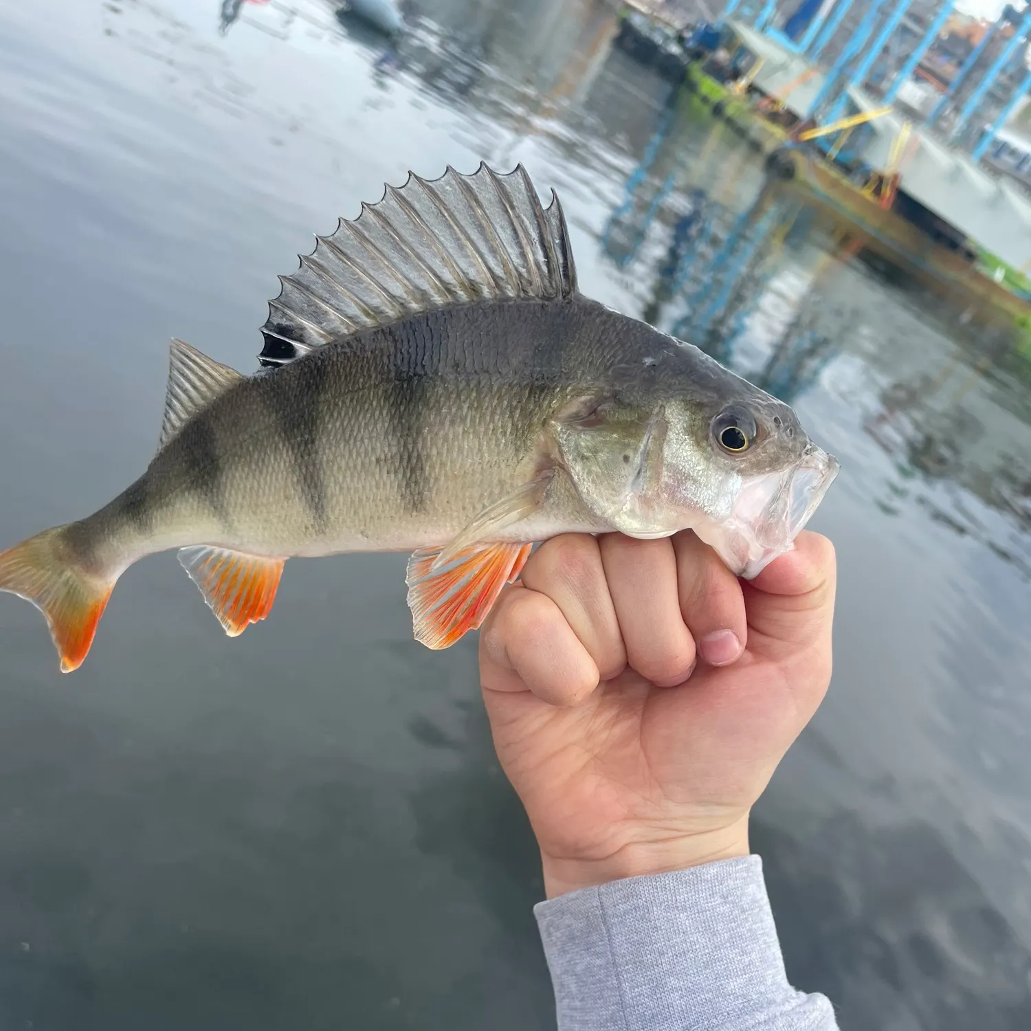 catch