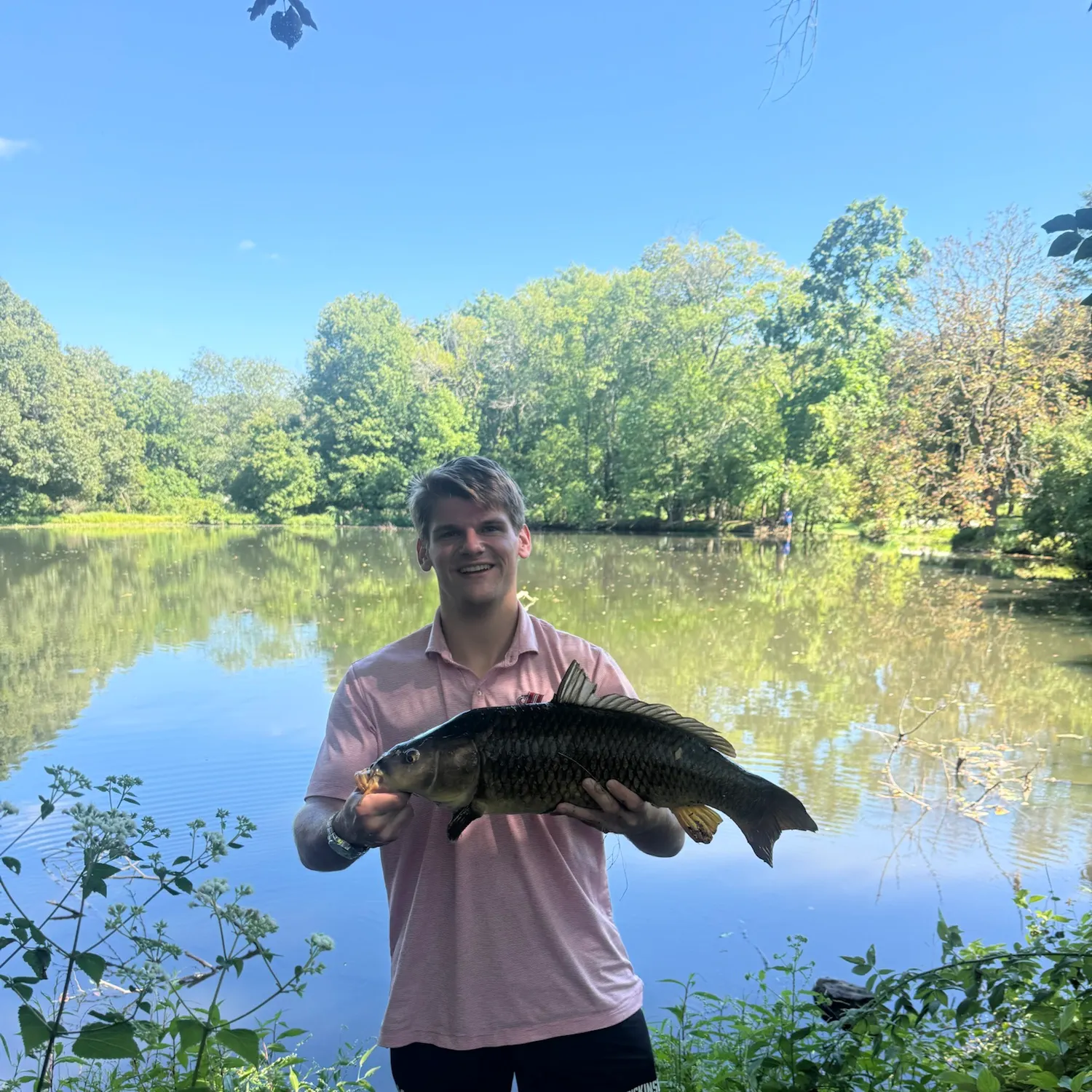 Common carp caught on Fishbrain