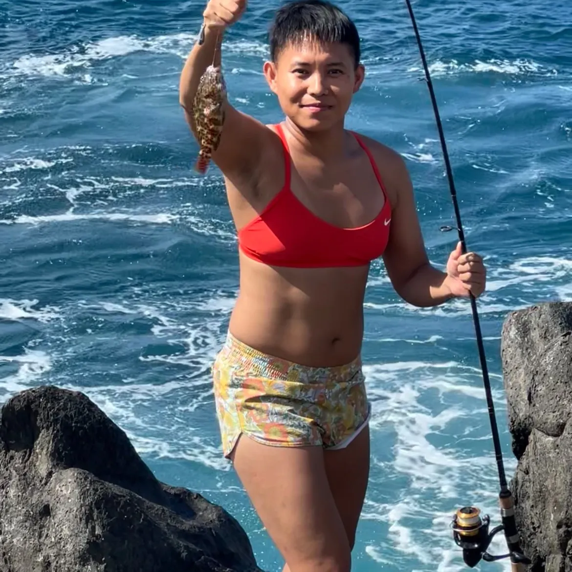 The most recent Stocky hawkfish catches on Fishbrain