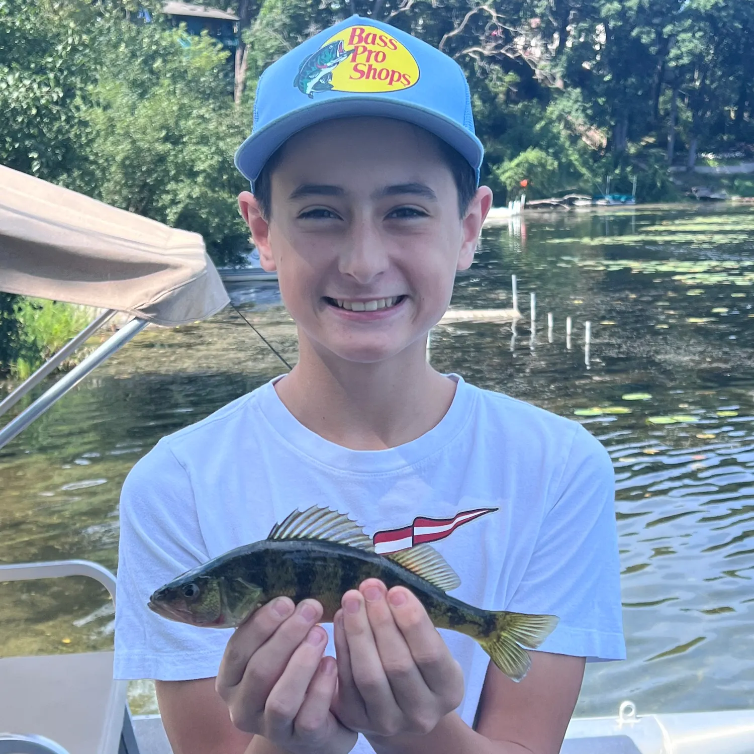 European perch caught on Fishbrain