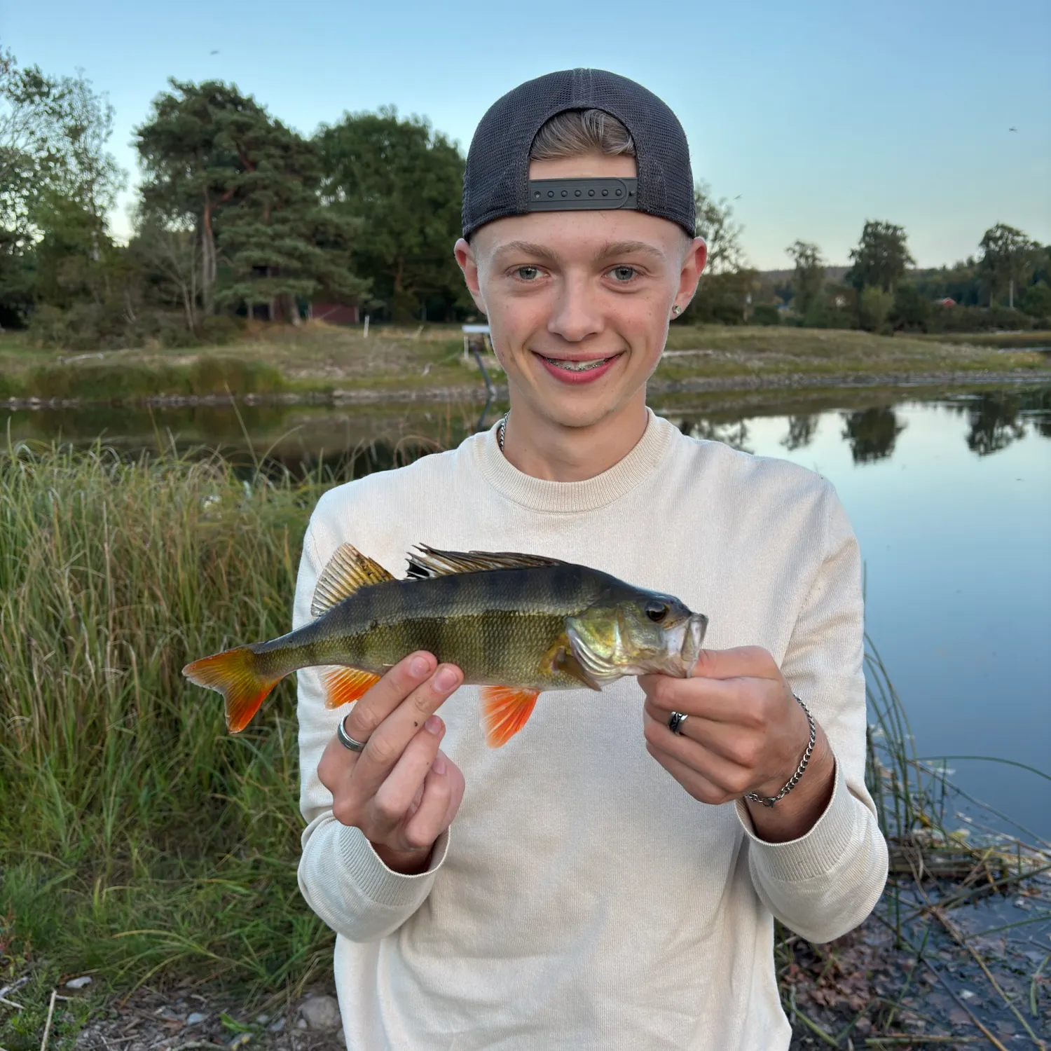 European perch caught on Fishbrain
