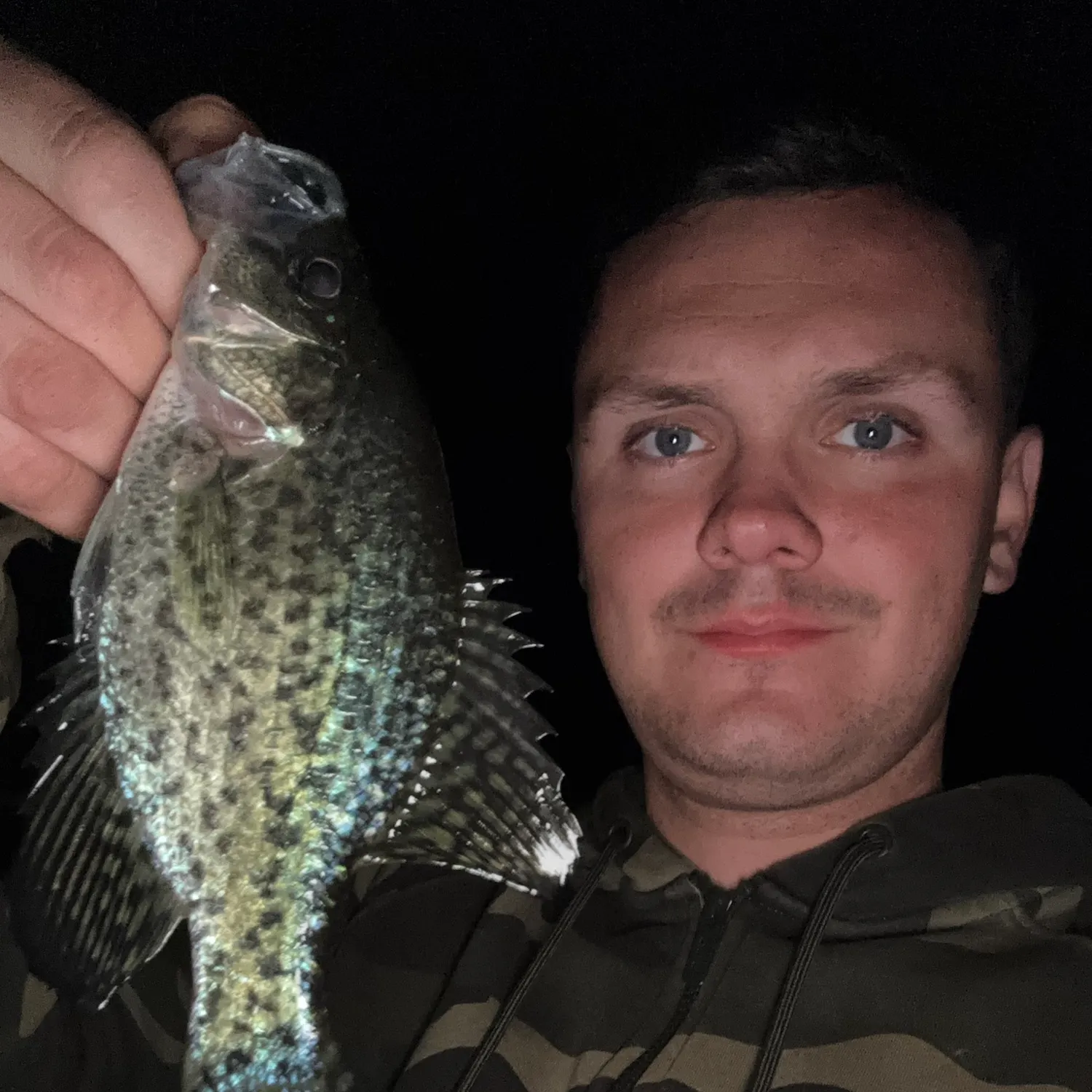 Black crappie caught on Fishbrain