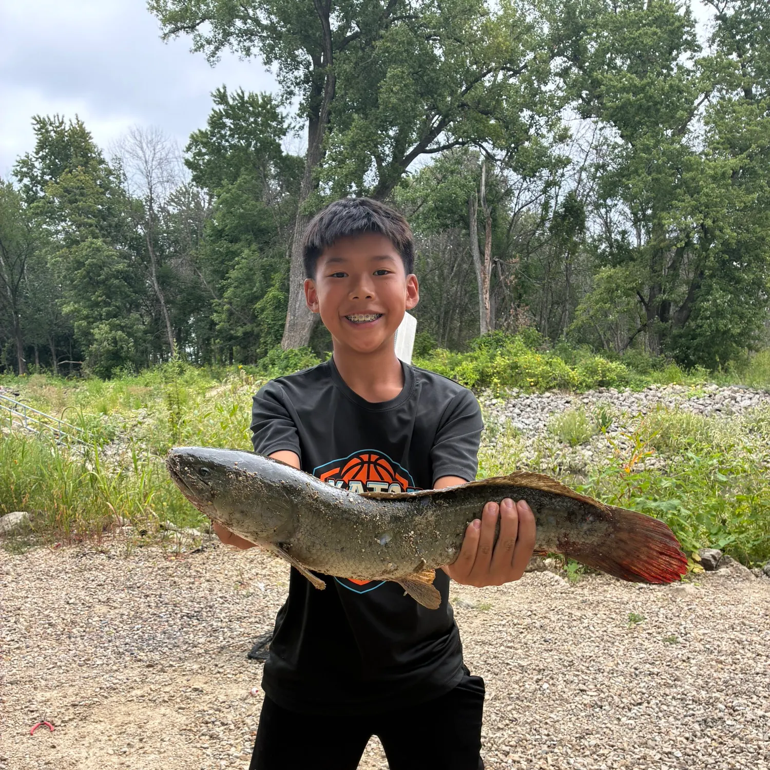 Eyetail bowfin caught on Fishbrain