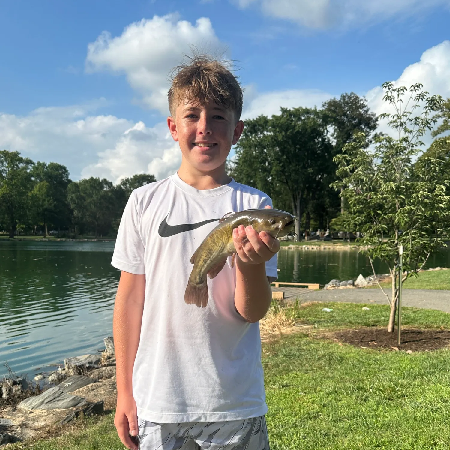 Brown bullhead caught on Fishbrain