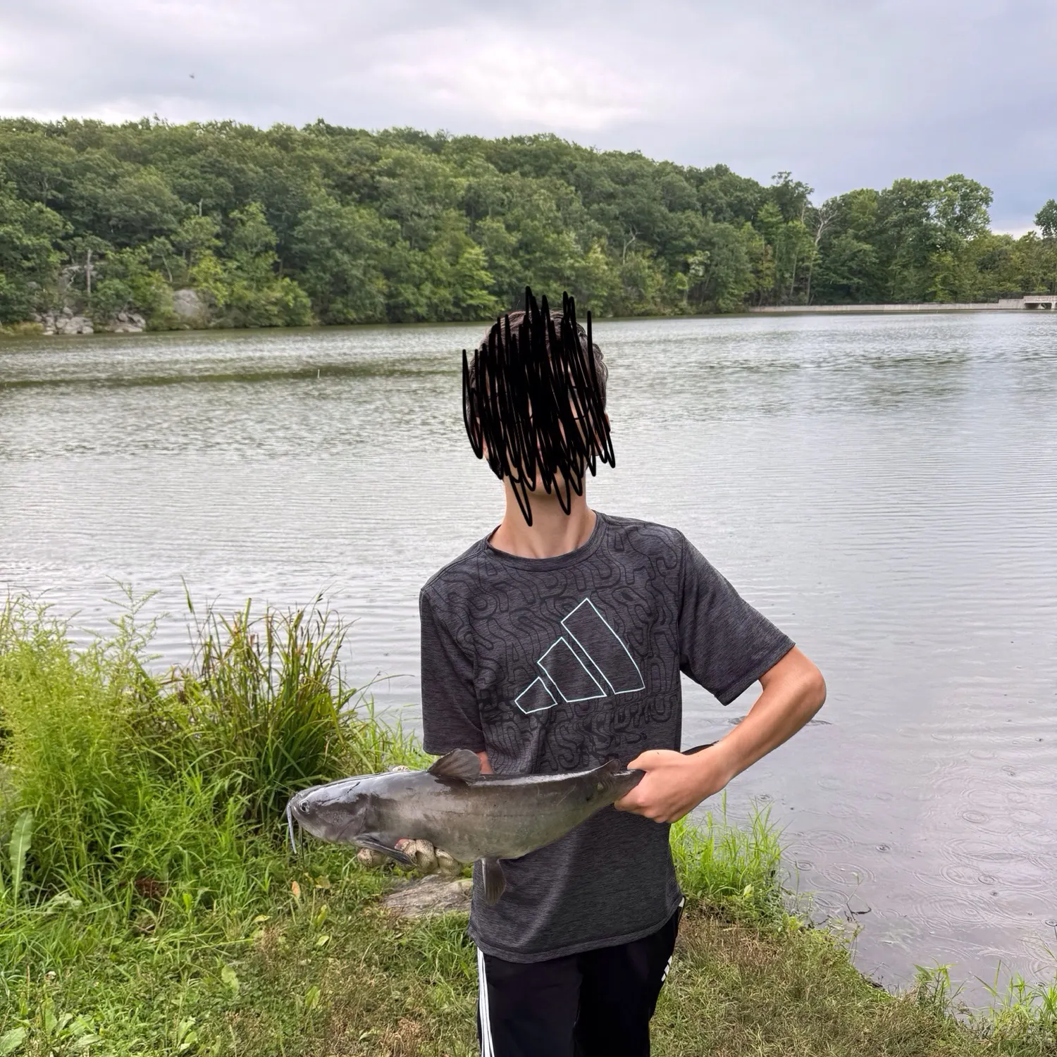 Channel catfish caught on Fishbrain