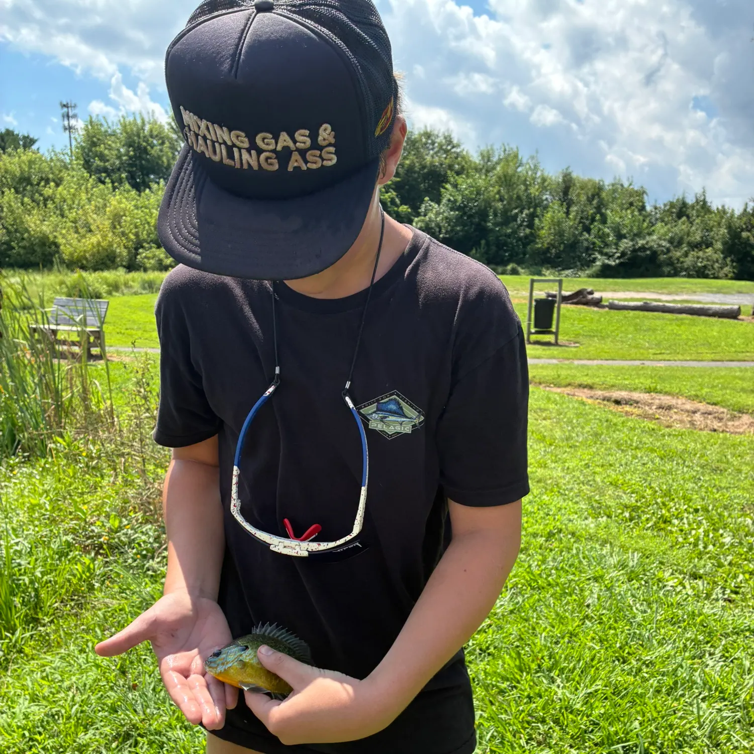 Bluegill caught on Fishbrain