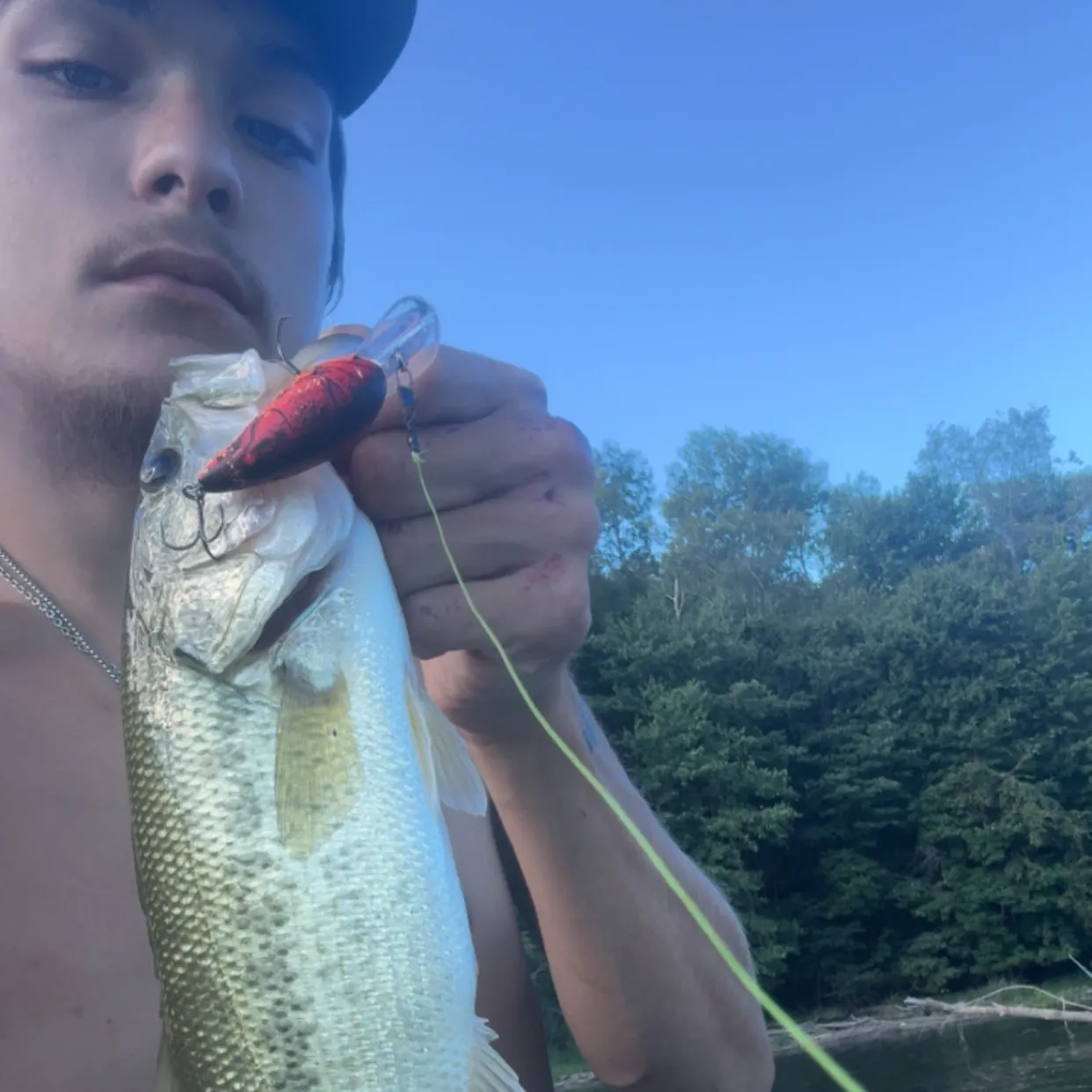 Largemouth bass caught on Fishbrain