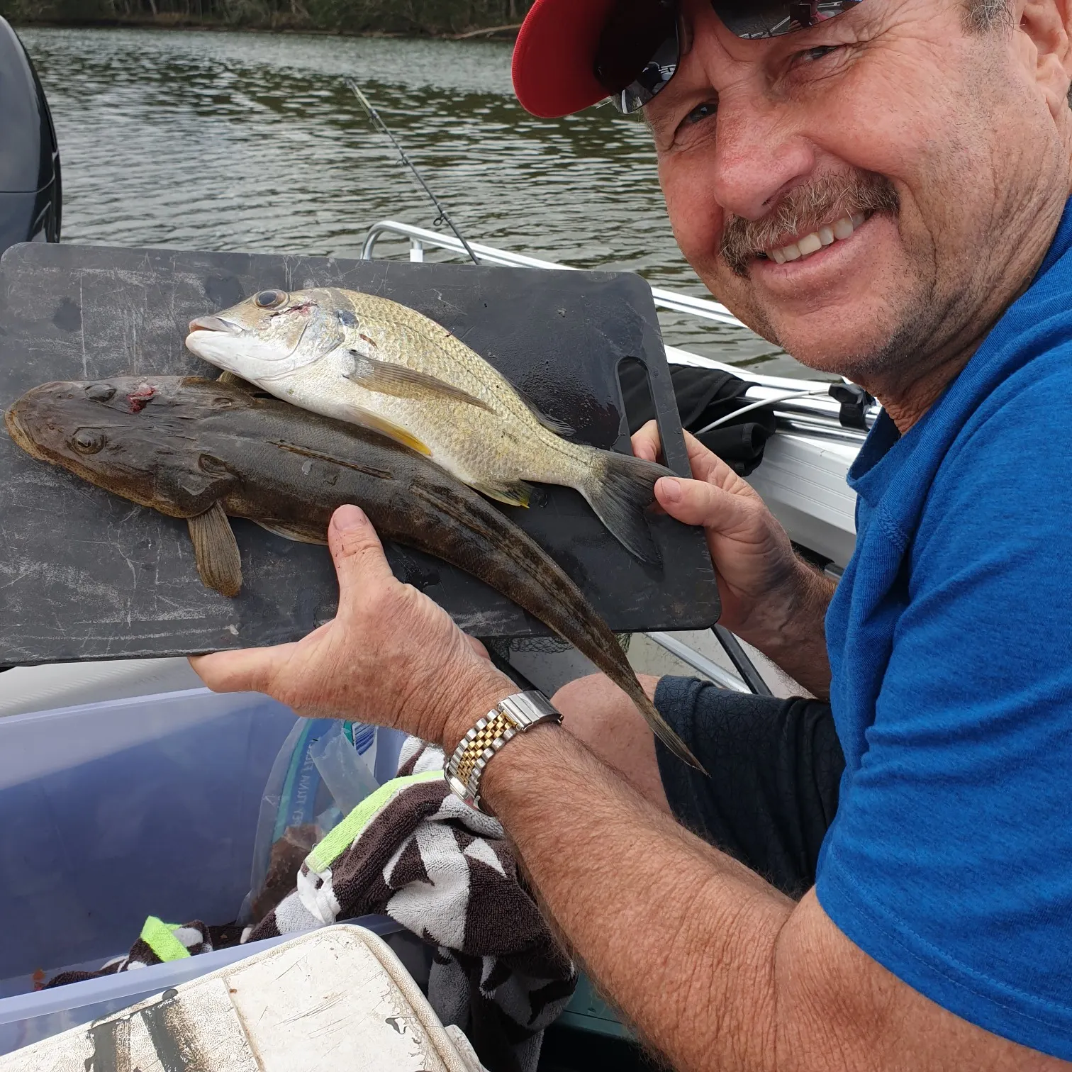 recently logged catches