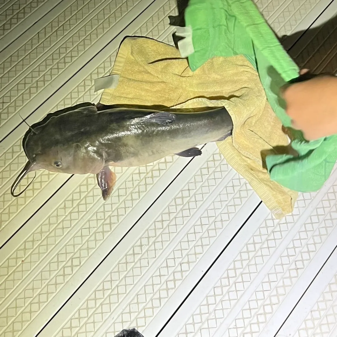 catch